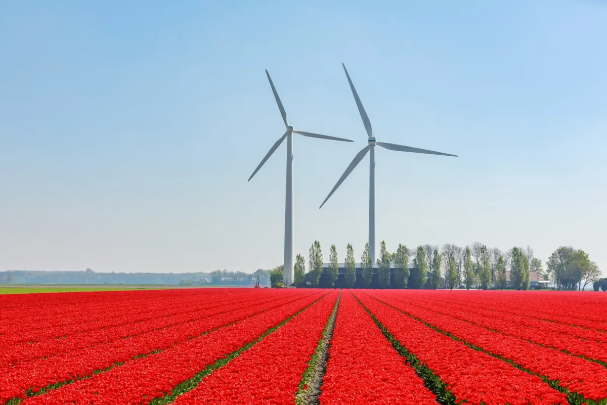 Salderingsregeling afgeschaft 2027: wat verandert er?